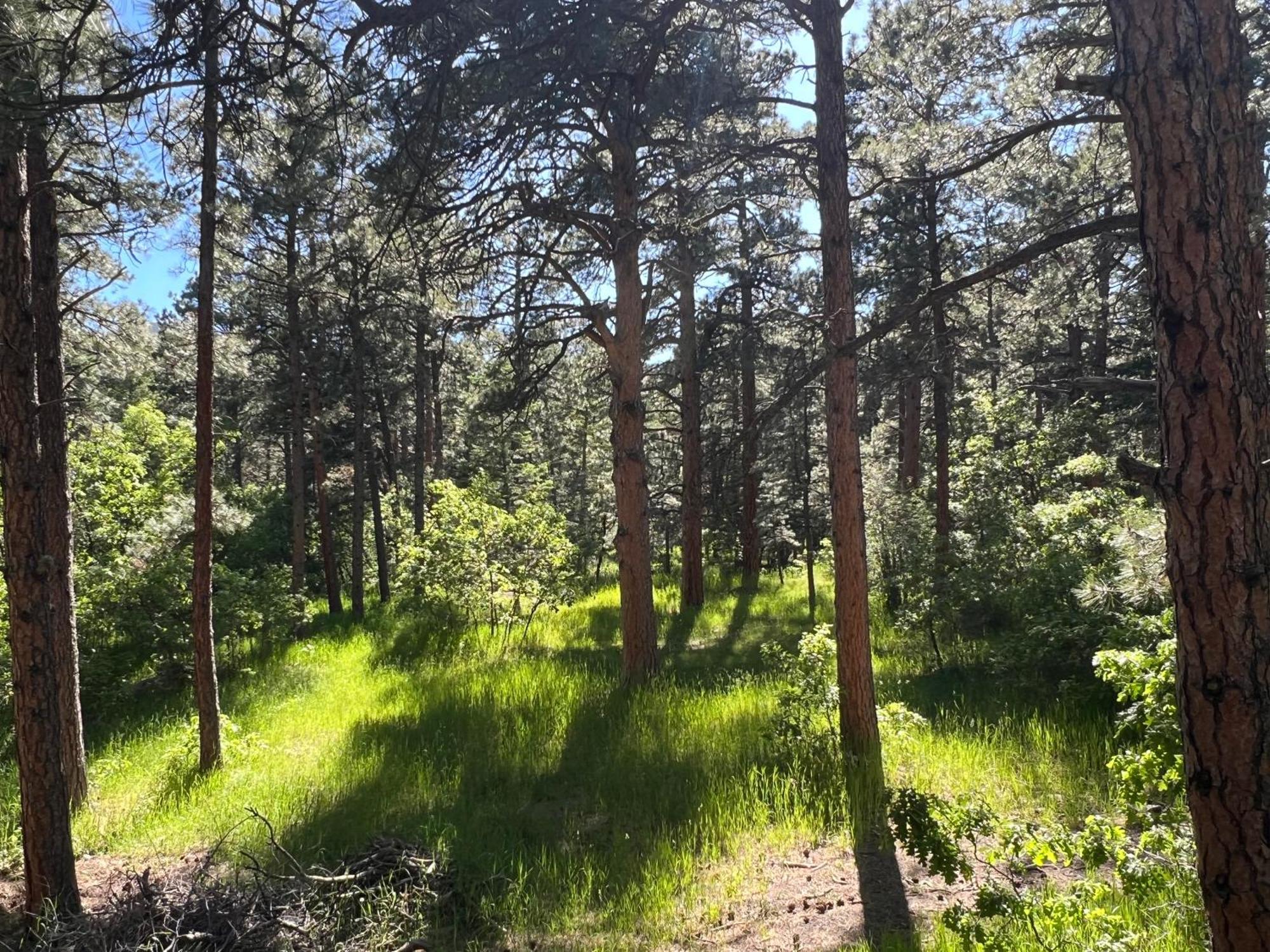 Cozy Cabin On The Creek Colorado City Экстерьер фото