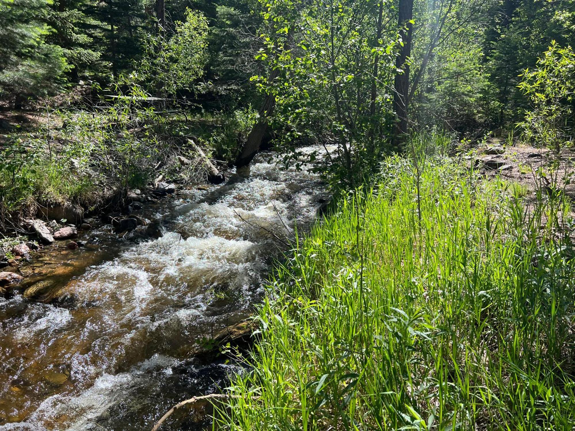 Cozy Cabin On The Creek Colorado City Экстерьер фото