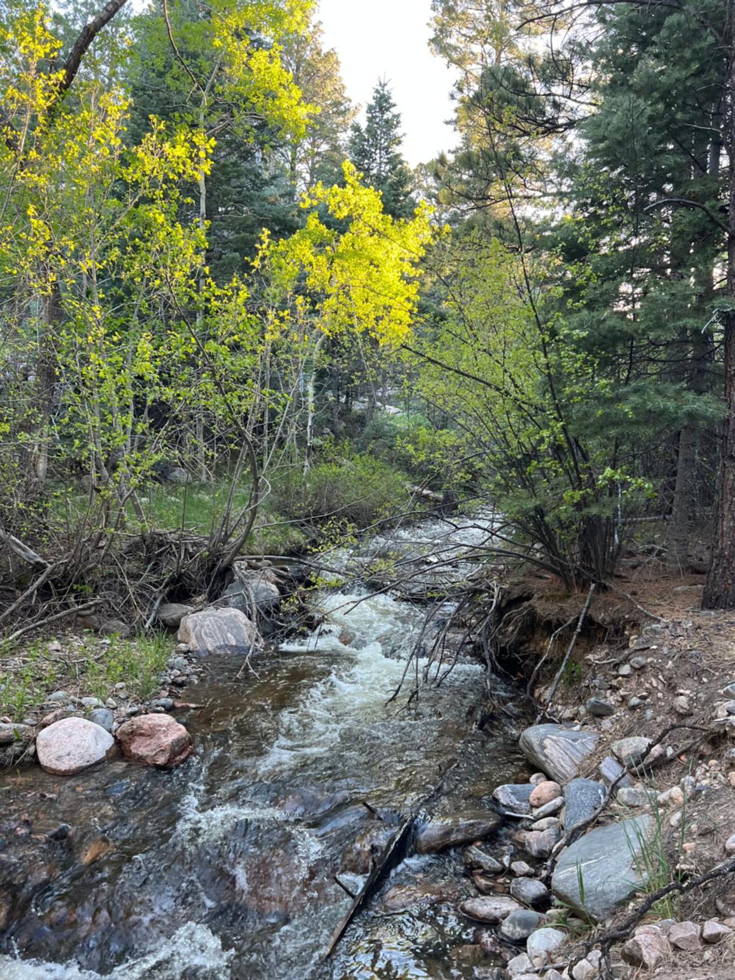 Cozy Cabin On The Creek Colorado City Экстерьер фото